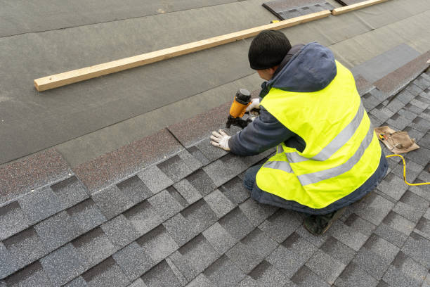 Best Roof Gutter Cleaning  in Lowell, IN